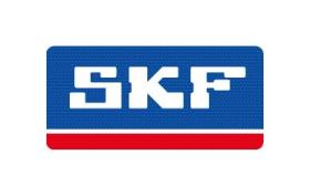 Skf VKM31035